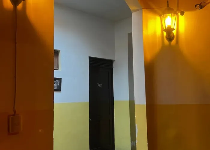 Amigo México DF