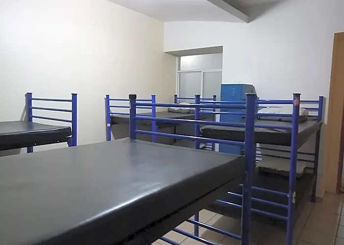 Amigo *